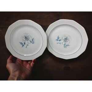 Vintage Set of 2  Winterling Schwarzenbach Bavaria Germany Porcelain Salad Plate